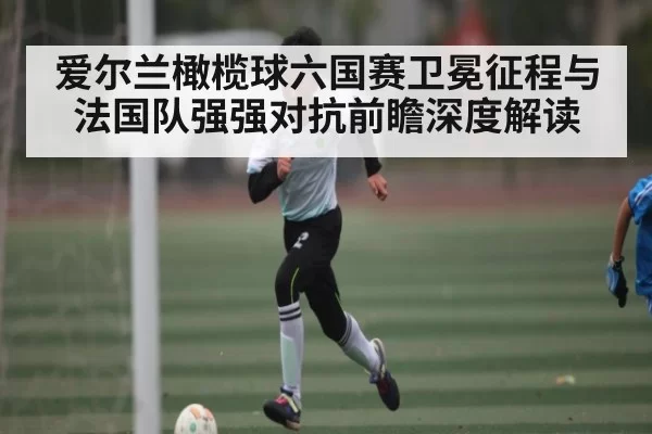 爱尔兰橄榄球六国赛卫冕征程与法国队强强对抗前瞻深度解读